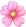 flower-icon