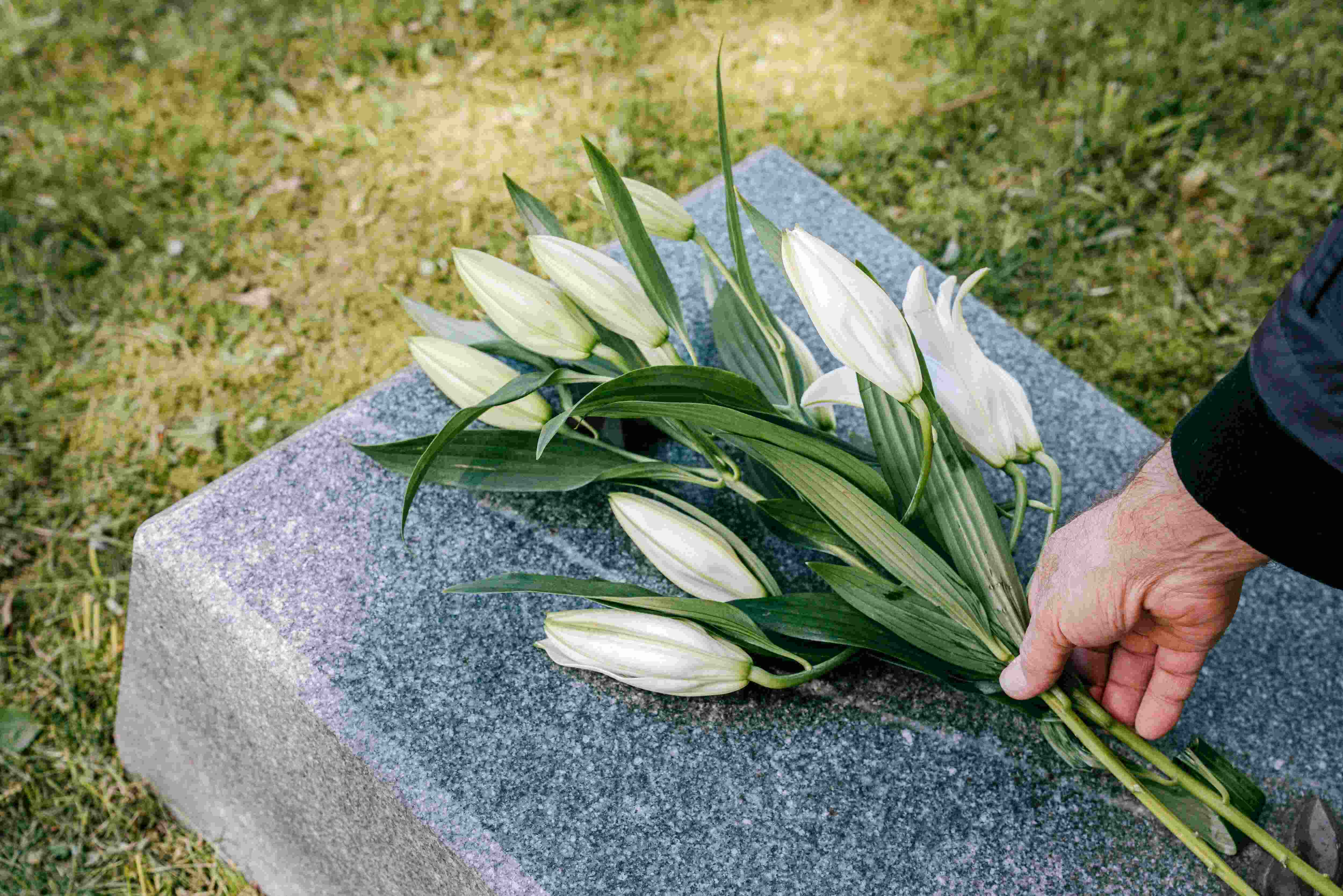 Serene white lily and sympathy floral tribute