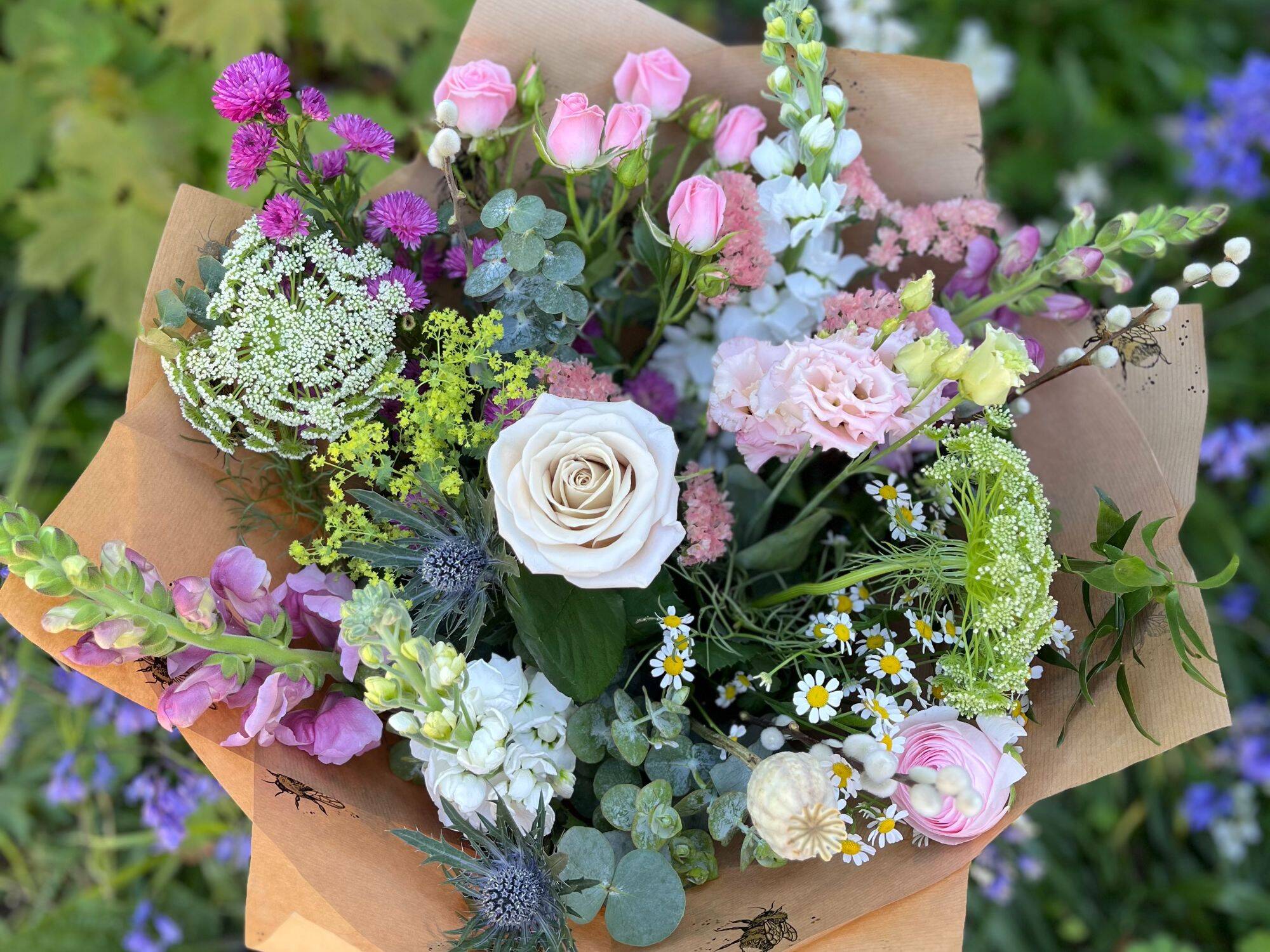 Meadow Rose