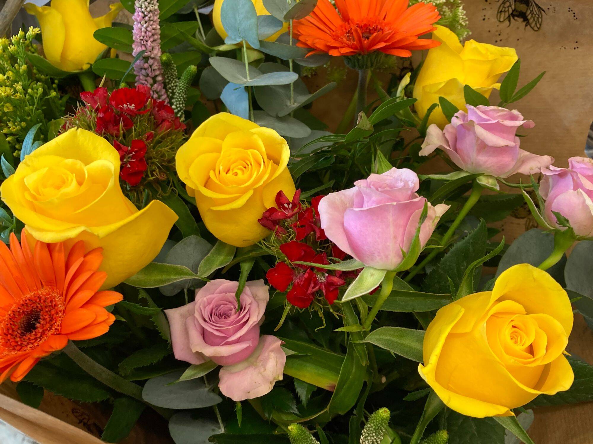 Vibrant Vibes for Every Occasion