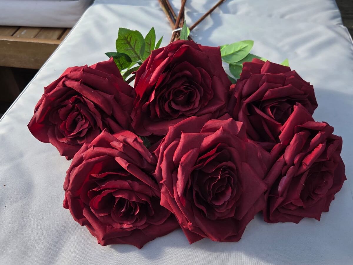 Elegant Deep Red Roses for Timeless Romance and Love