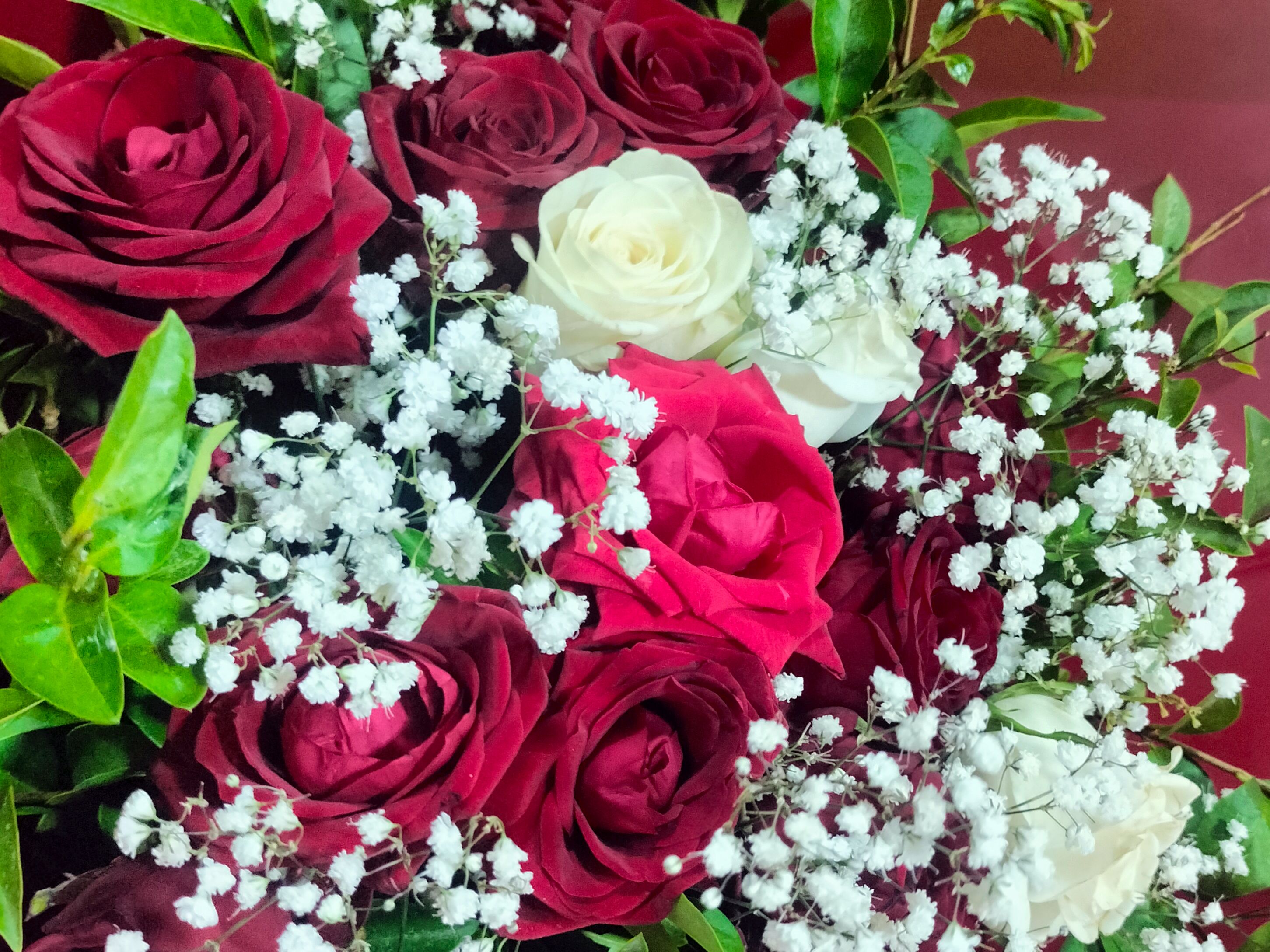Elegant Red Roses Bouquet for Every Occasion