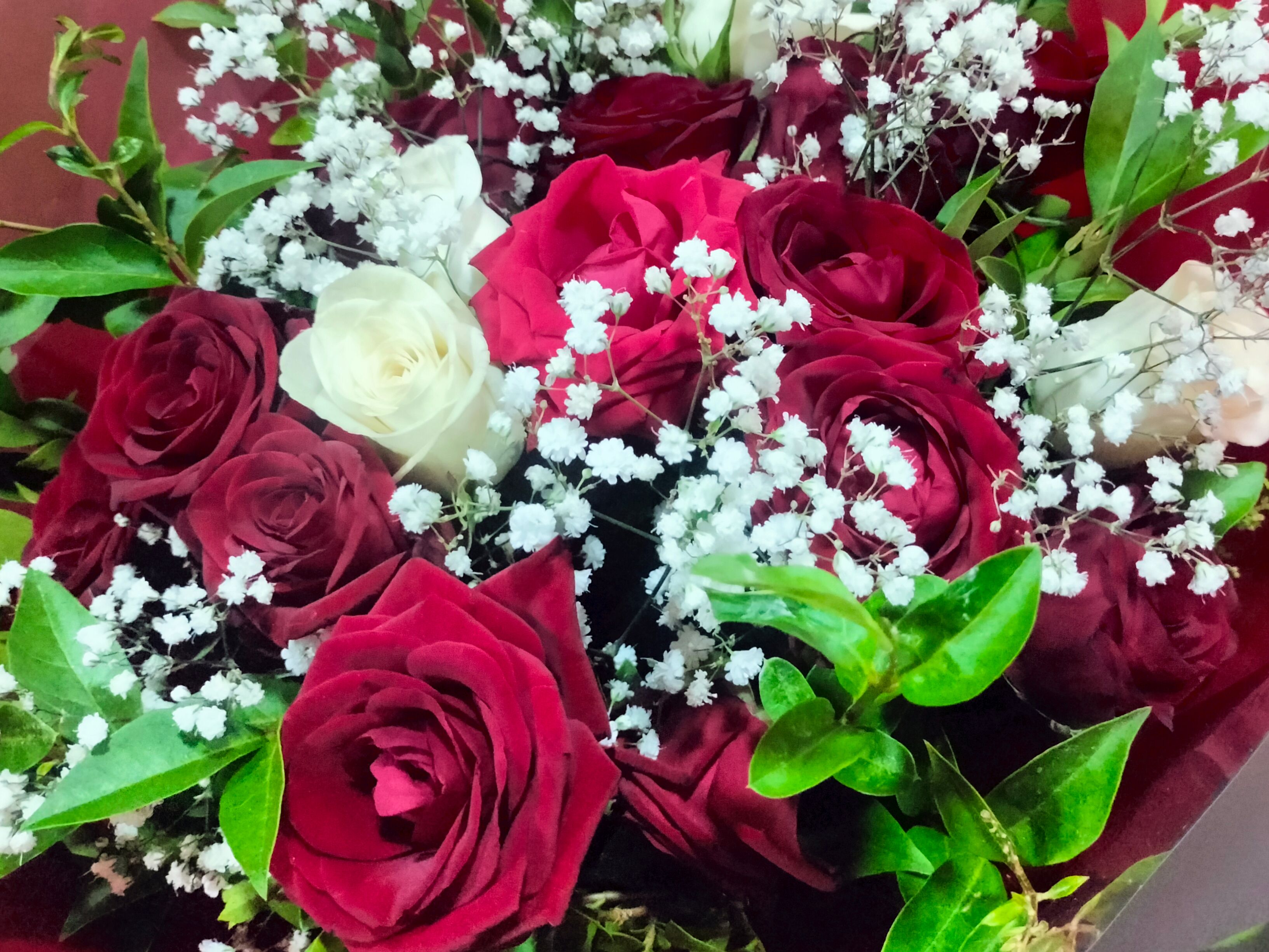Elegant Red Roses Bouquet for Any Occasion