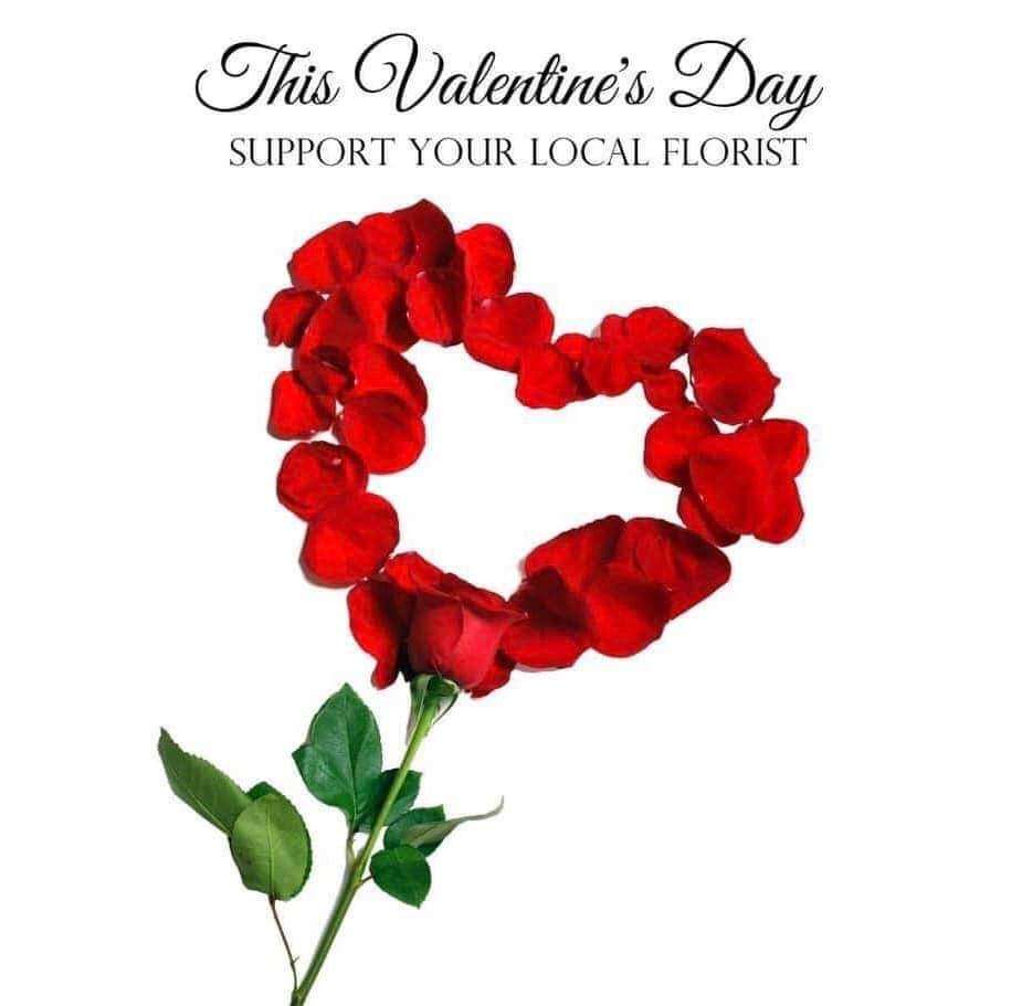 Elegant Single Red Rose for Any Occasion