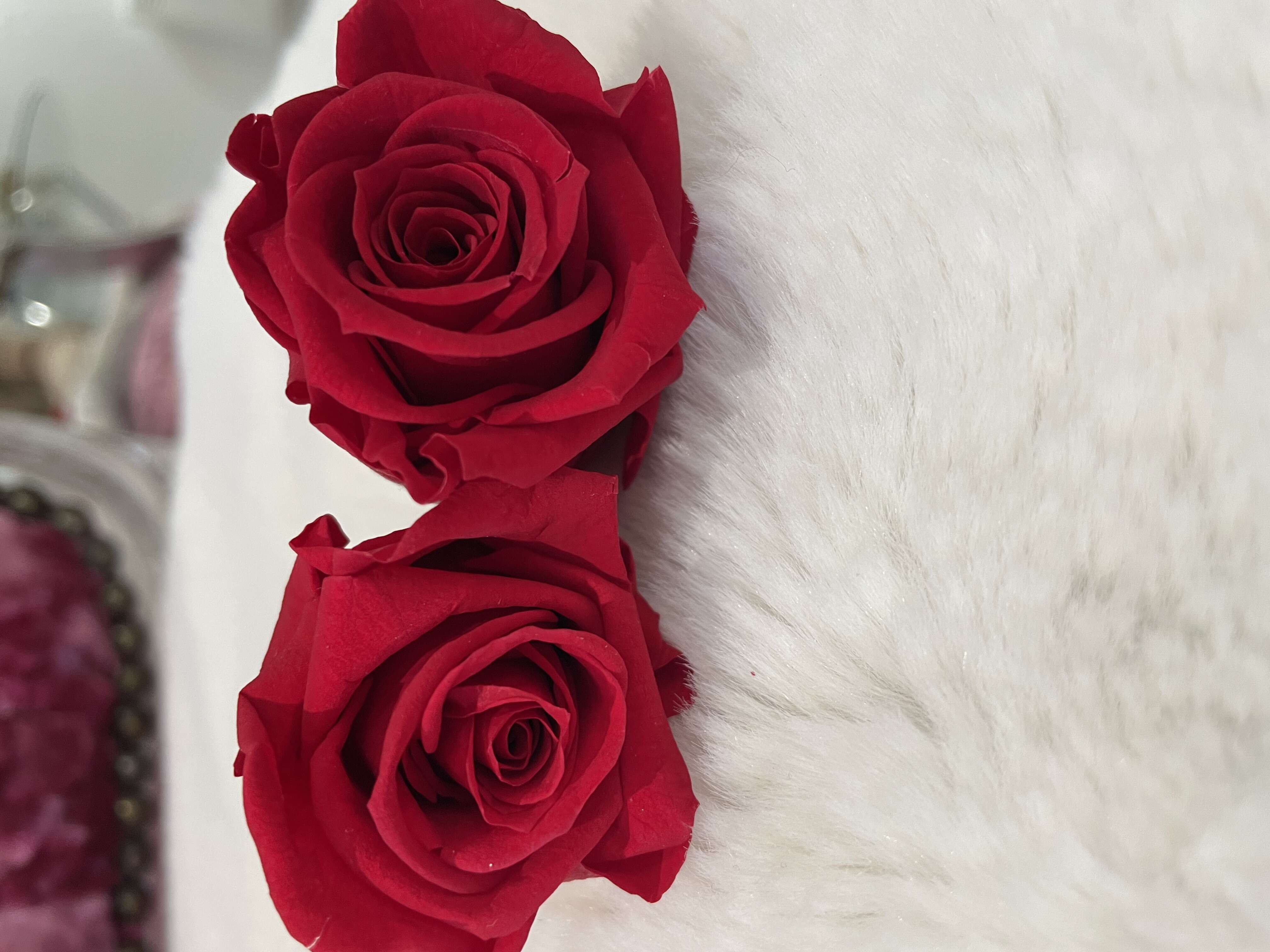 Everlasting Eternal Roses for Timeless Love and Elegance